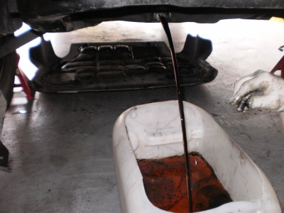 P3250592.JPG (482.33 KiB) Zobrazeno 98285 krát P3250592.JPG